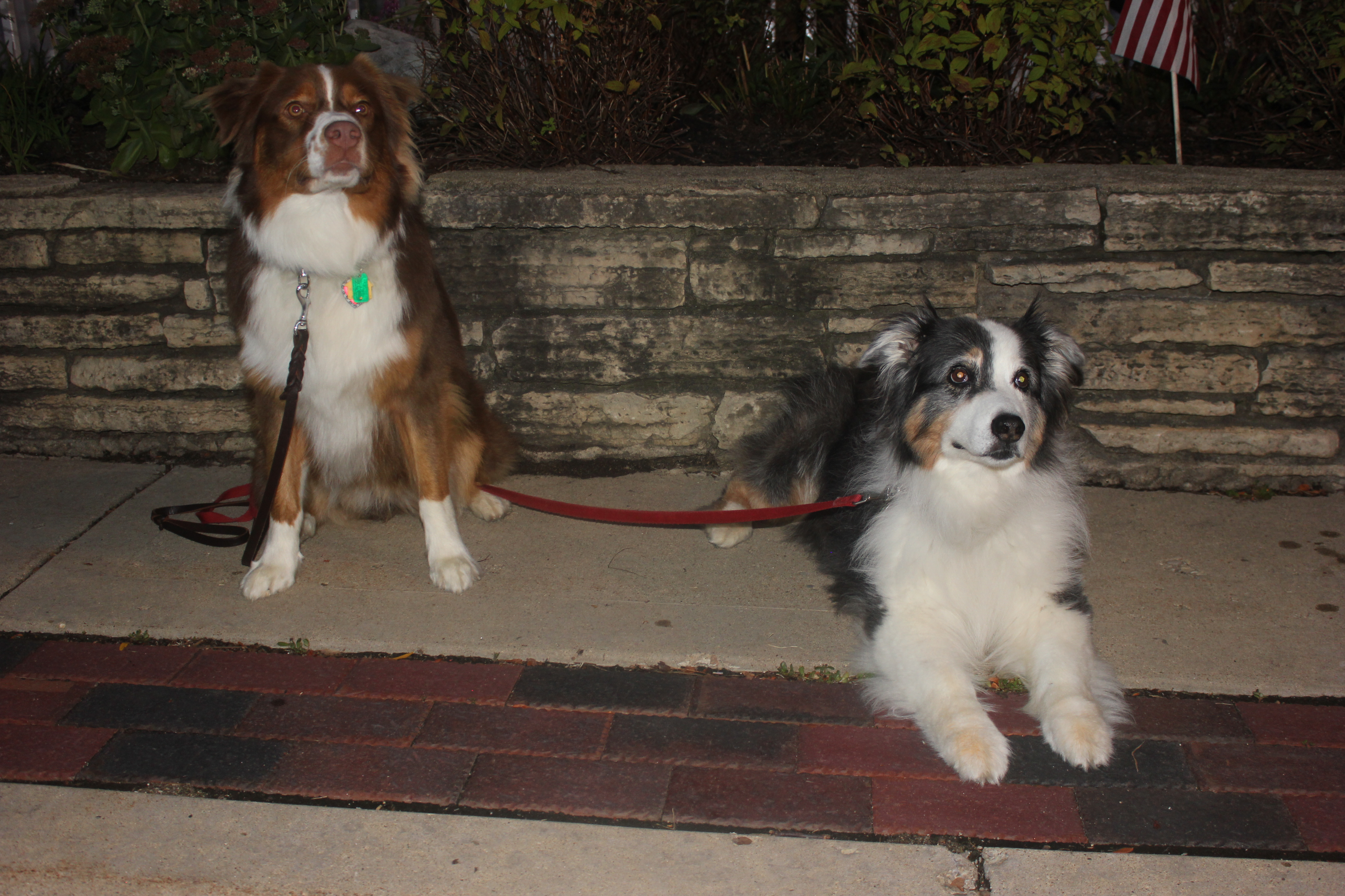 Festival of the Vine 2016 240